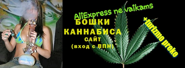 твердый Иннополис