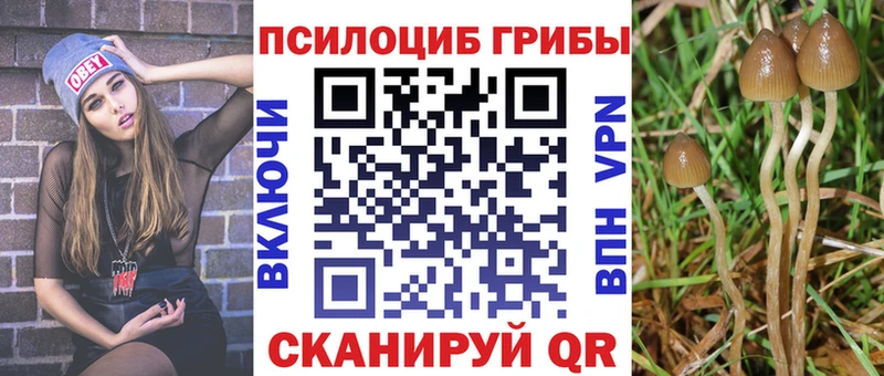 Псилоцибиновые грибы MAGIC MUSHROOMS  Купить где  Зубцов 