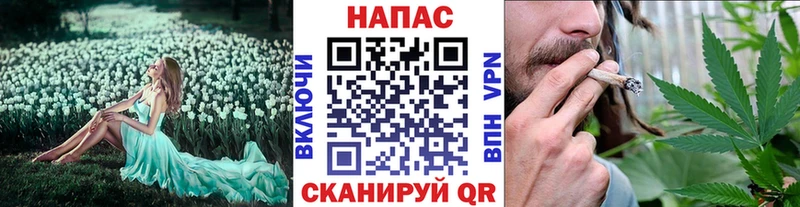 Бошки марихуана планчик  Купить  Зубцов 